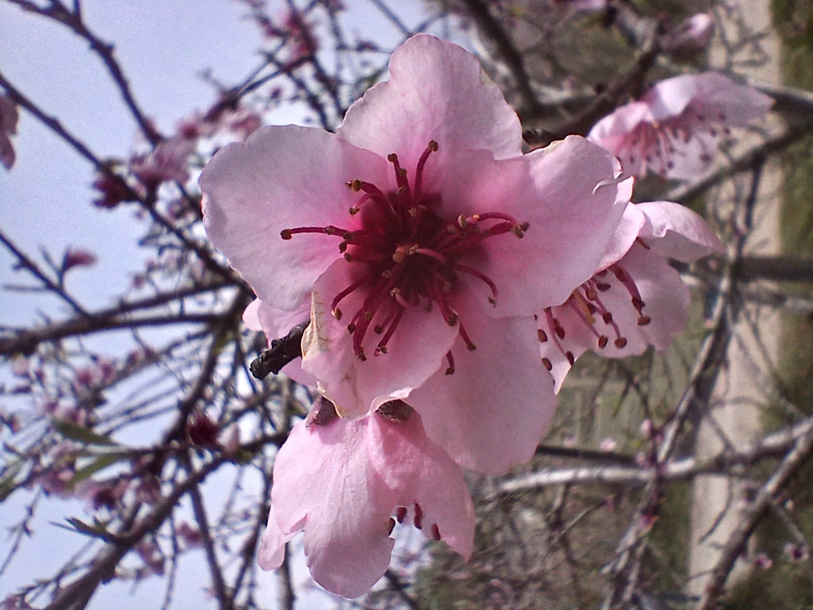 No s'ha trobat l'arxiu